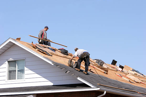 Best Storm Damage Roof Repair  in Kathleen, FL